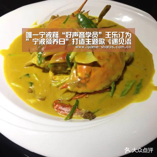 唯一宁波籍“好声音学员”王乐汀为”宁波领养日”打造主题歌《遇见流浪的你》上线‘AYX’(图1) 爱游戏
