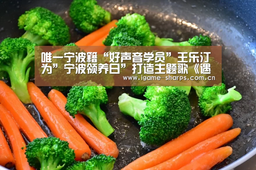 唯一宁波籍“好声音学员”王乐汀为”宁波领养日”打造主题歌《遇见流浪的你》上线‘AYX’(图4) 唯一宁波籍“好声音学员”王乐汀为”宁波领养日”打造主题歌《遇见流浪的你》上线‘AYX’(图4)