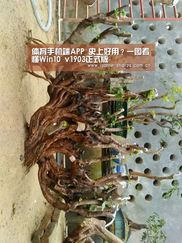 体育手机端APP_史上好用?一图看懂Win10 v1903正式版(图1) 体育手机端APP_史上好用?一图看懂Win10 v1903正式版(图1)