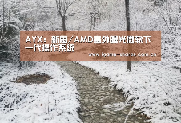 AYX:新思/AMD意外曝光微软下一代操作系统(图1) AYX:新思/AMD意外曝光微软下一代操作系统(图1)