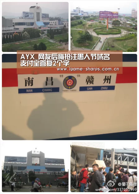 AYX_网友后悔抢注愚人节域名 支付宝答复2个字(图1) 体育手机端APP