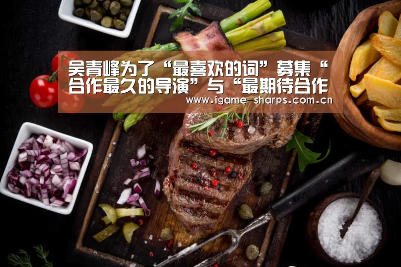 吴青峰为了“最喜欢的词”募集“合作最久的导演”与“最期待合作的摄影师”“爱游戏”(图1) 爱游戏